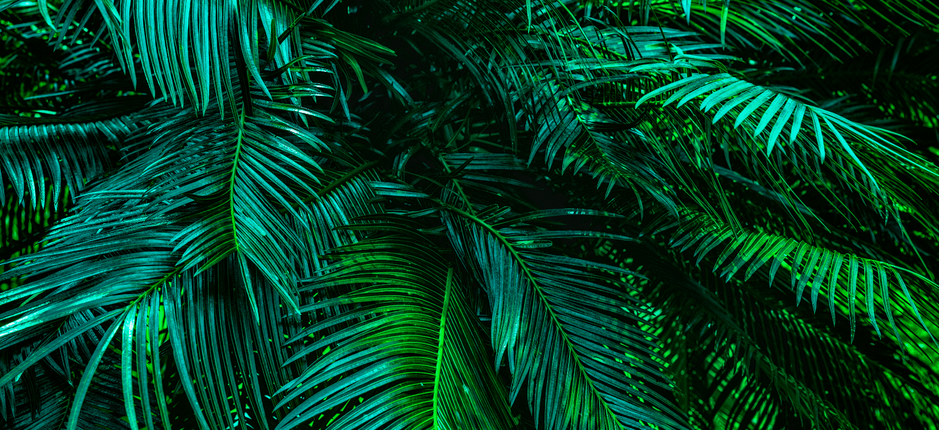 6 CO2-Rechner um Klimaneutrale Events zu organisieren