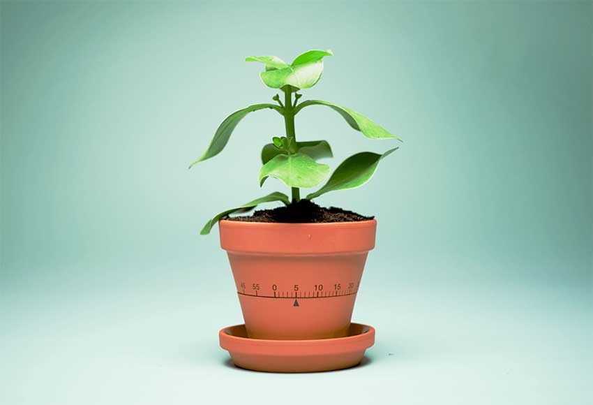 Zeit f�r Klimaaktion: 5 Tipps, um ein nachhaltiges Unternehmen zu werden!